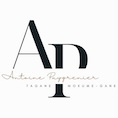 Logo Antoine Puygrenier